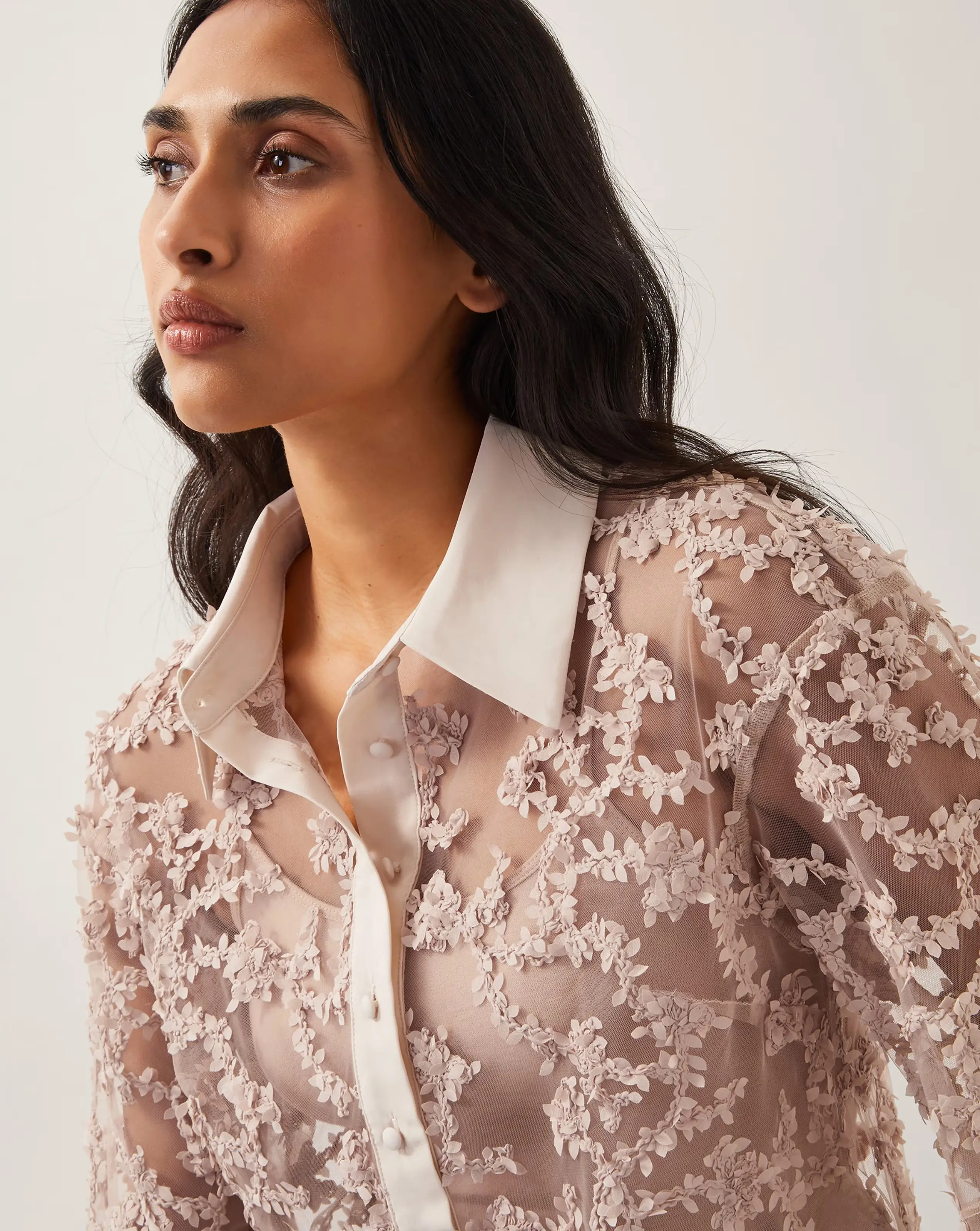 109829-monsoon-alanna-sheer-shirt-1.jpg