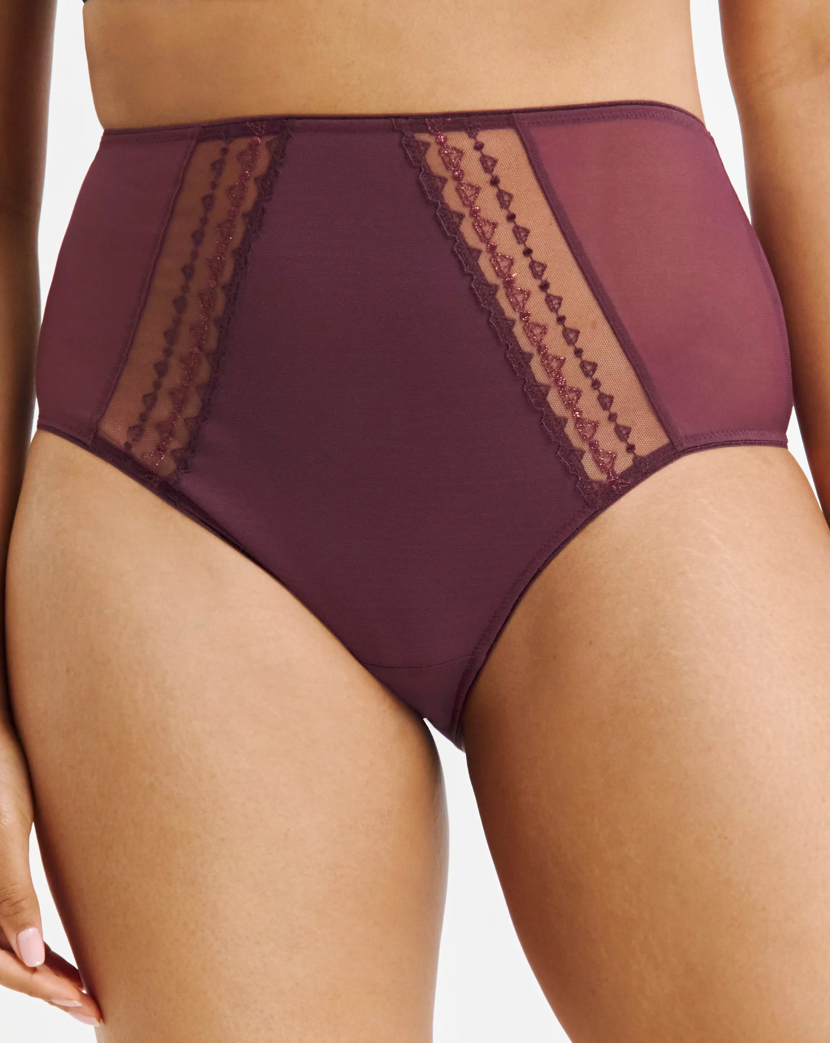 122589-elomi-matilda-full-fit-knicker-wine-1.webp