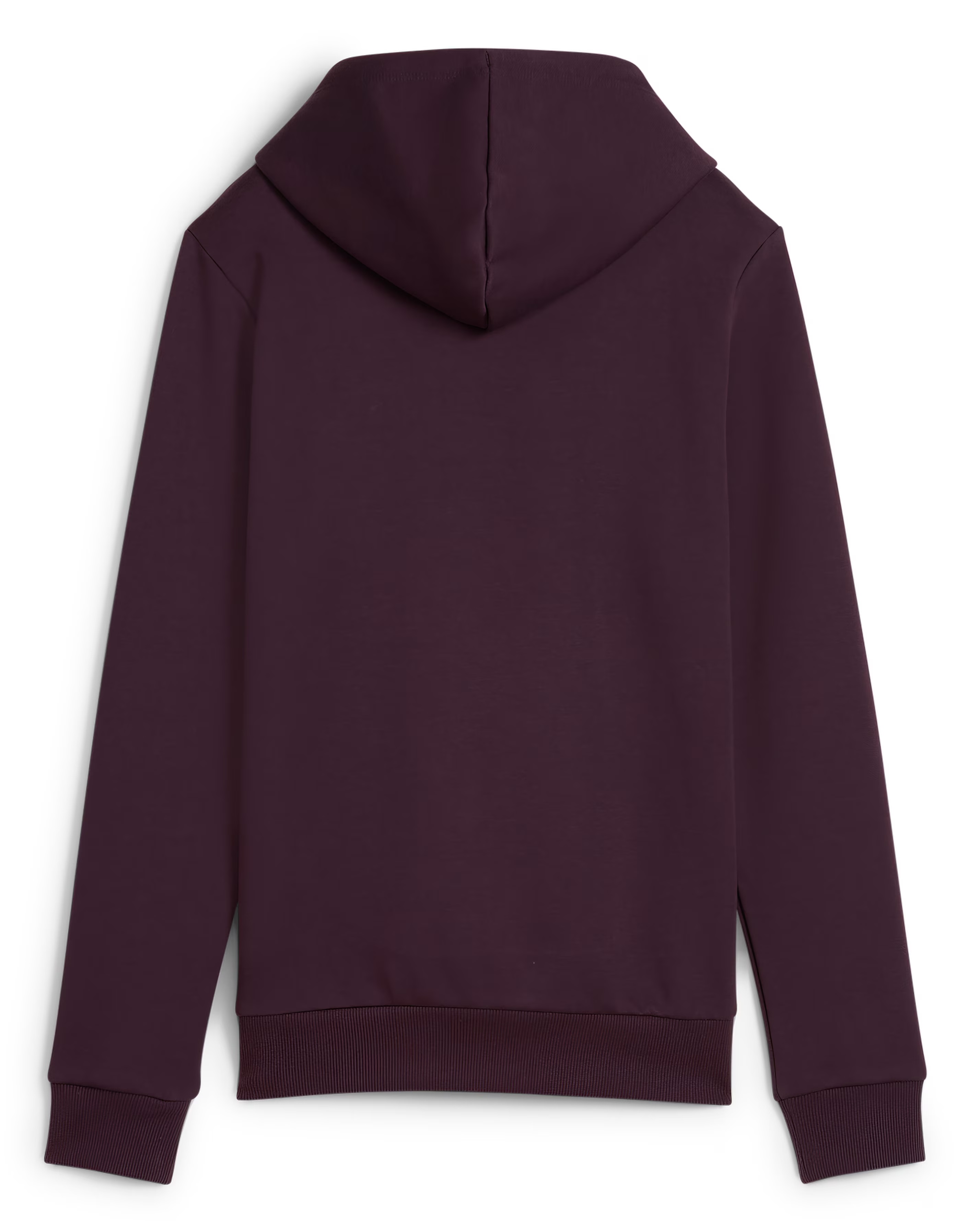 132929-puma-essentials-logo-hoodie-1.webp