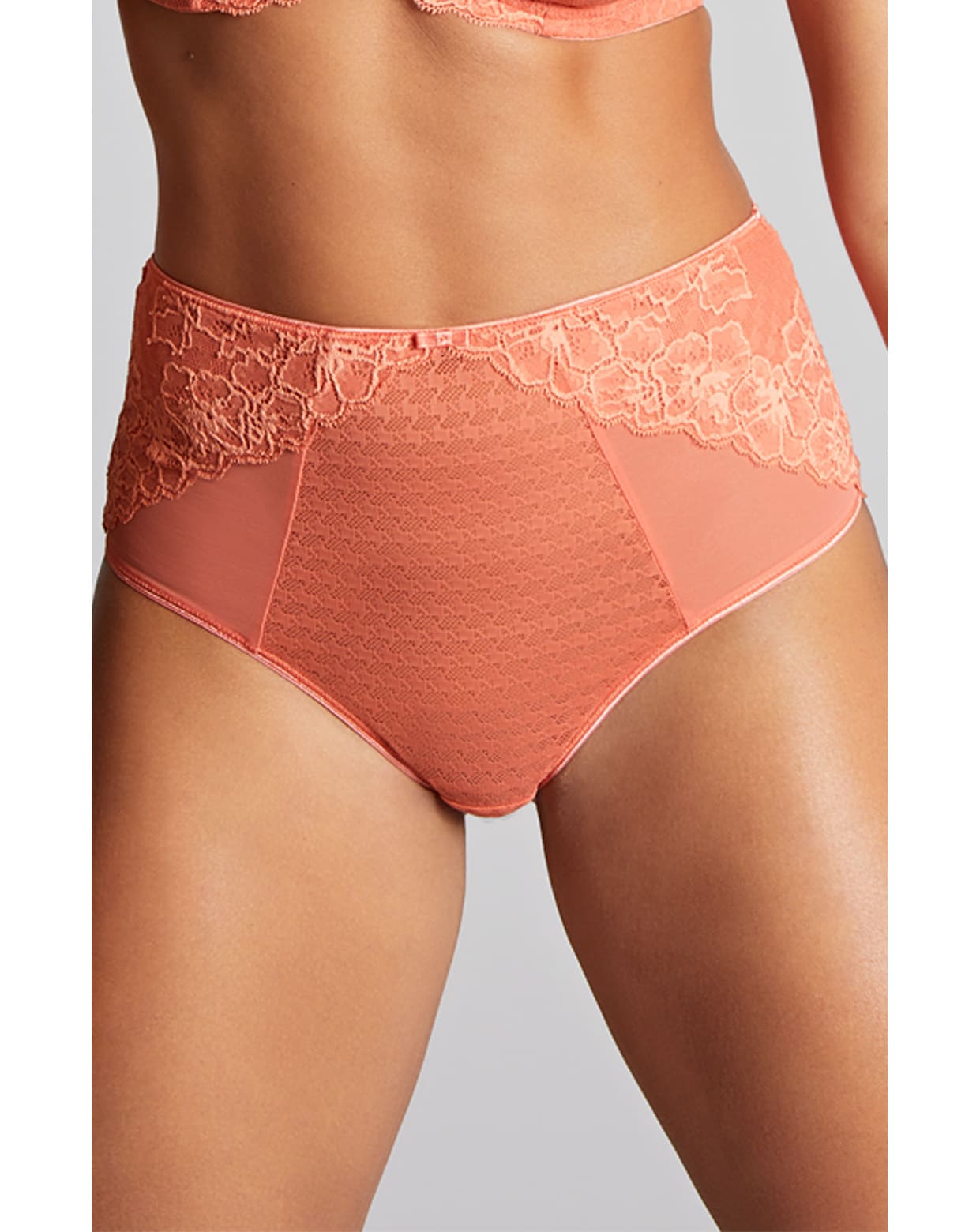 Panache Envy Deep Brief Terracotta 1 145503-panache-envy-deep-brief-terracotta-1.jpg
