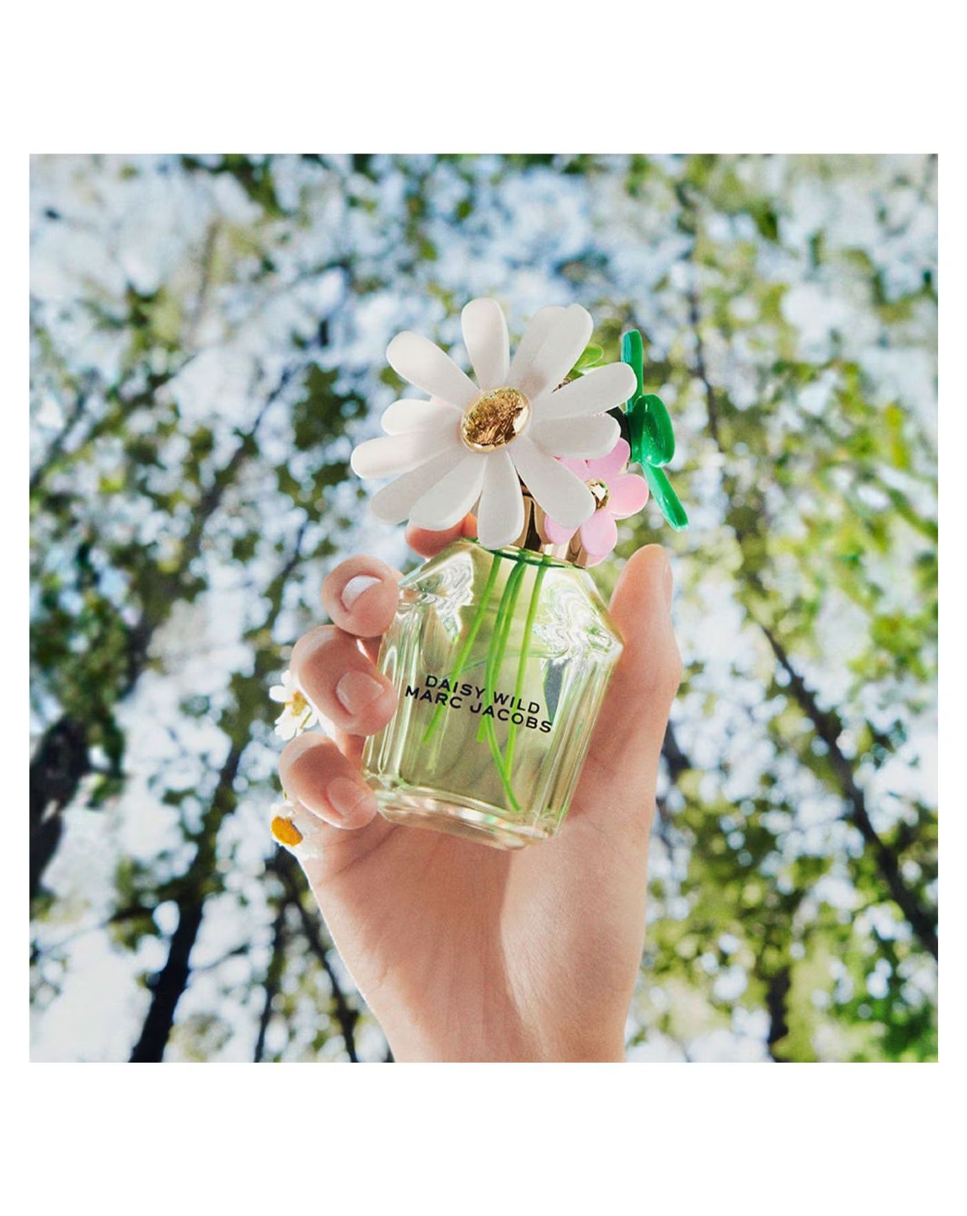 148699-marc-jacobs-daisy-wild-edp-spray-100ml–1.jpg