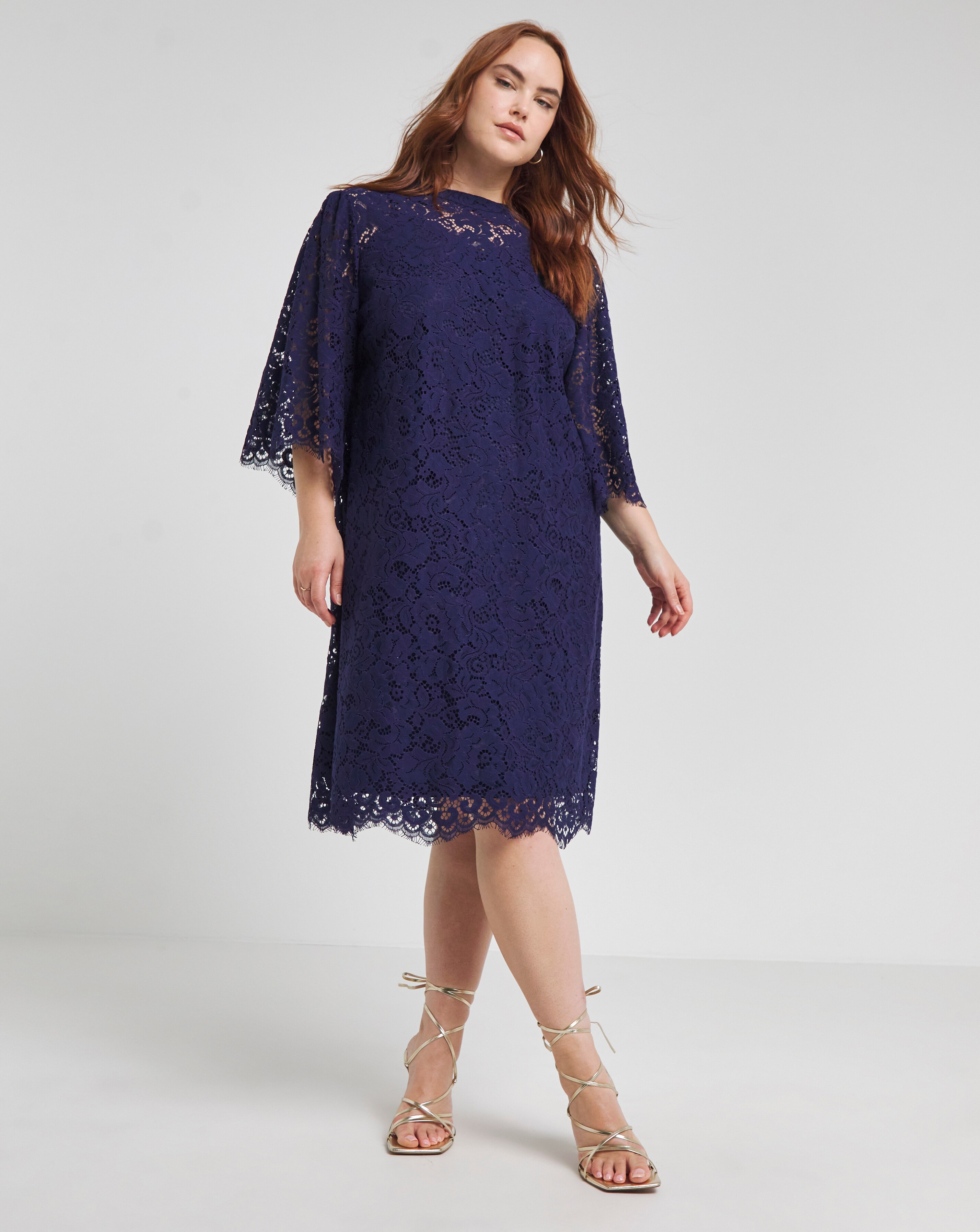 Joanna Hope Navy Lace Swing Dress