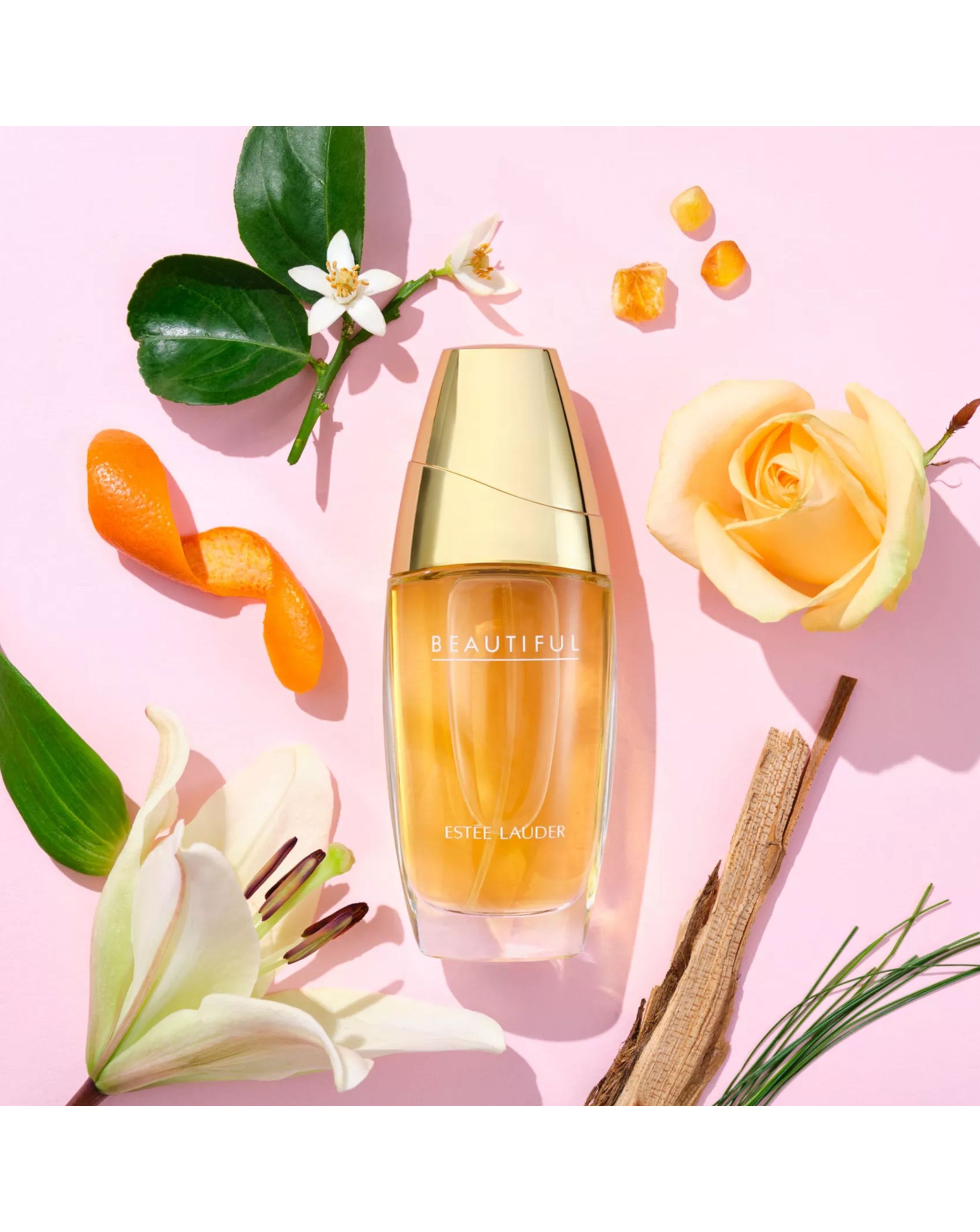 37828-estee-lauder-beautiful-edp-75ml-1.jpg