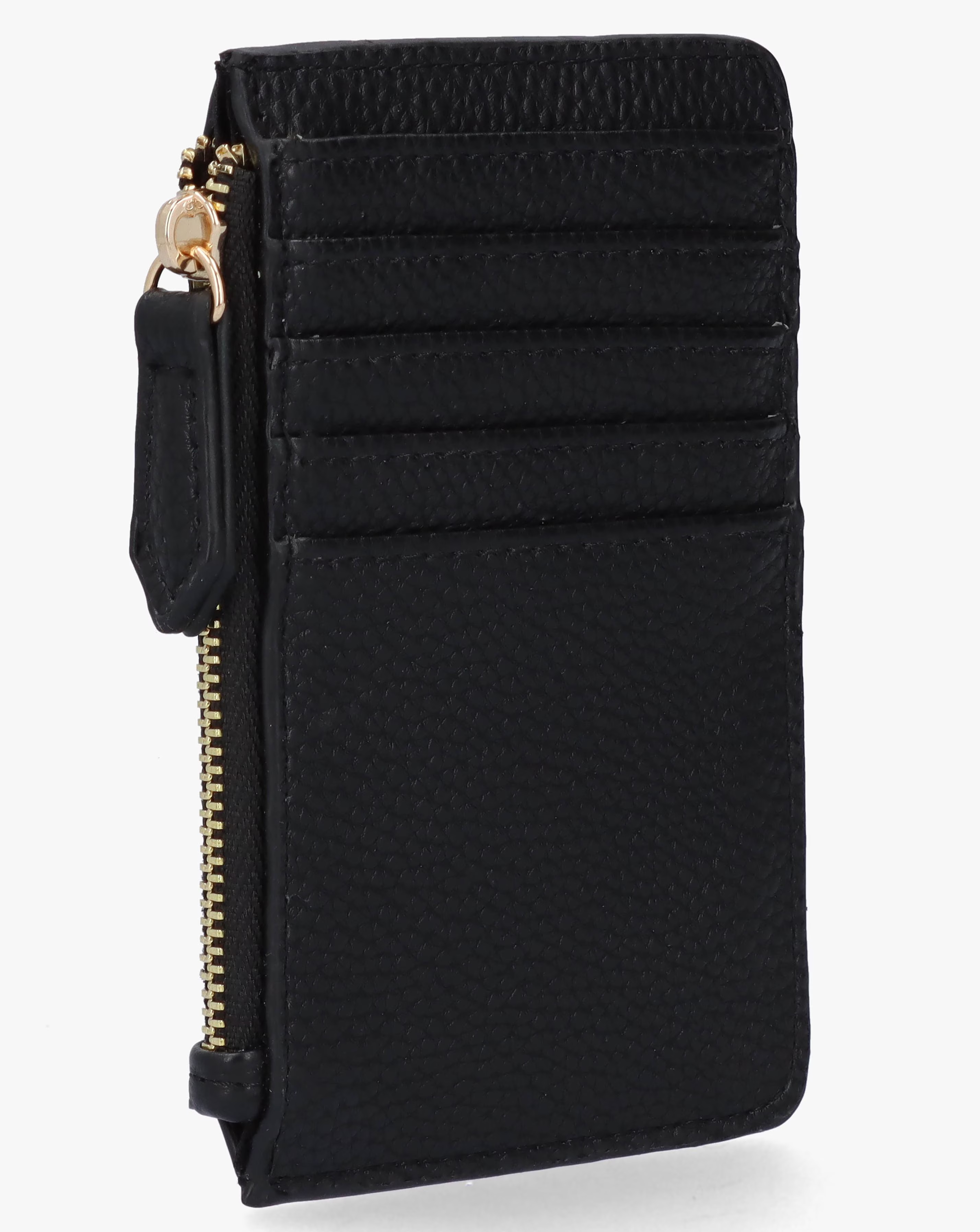 37852-valentino-bags-brixton-black-zip-card-case-1.jpg