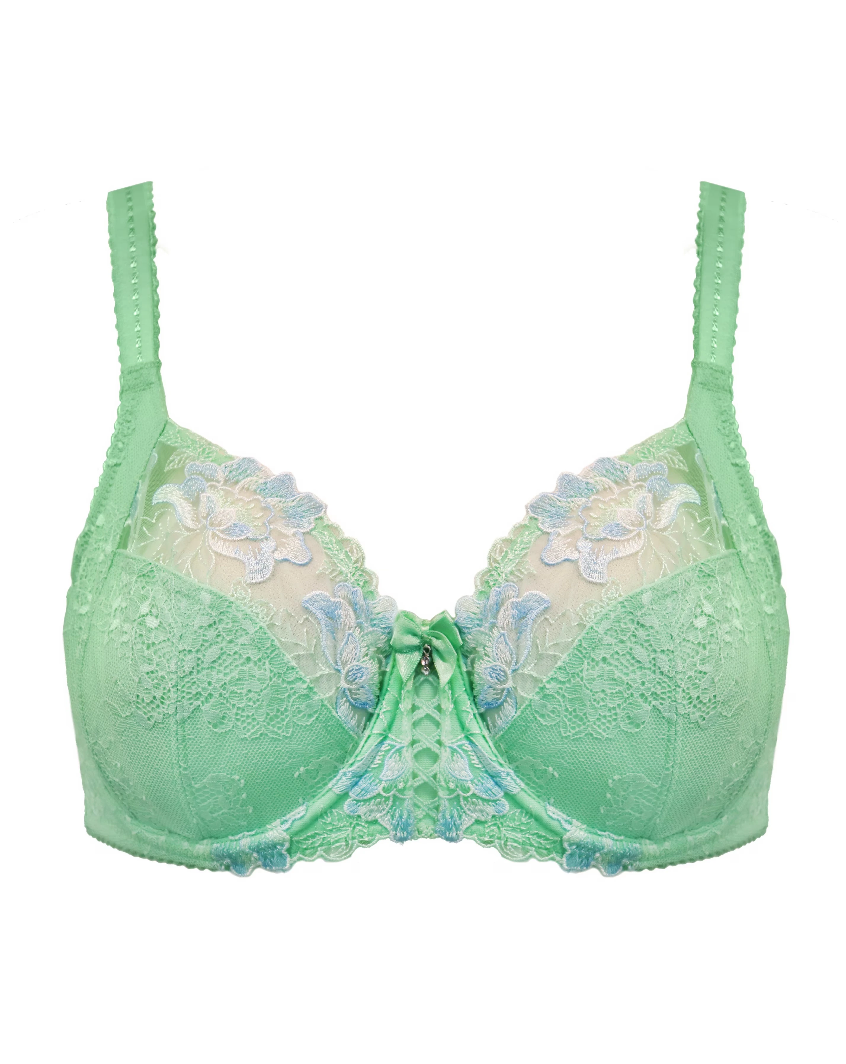 64567-pour-moi-sofia-full-cup-wired-bra-pistacchio-blue-1.webp