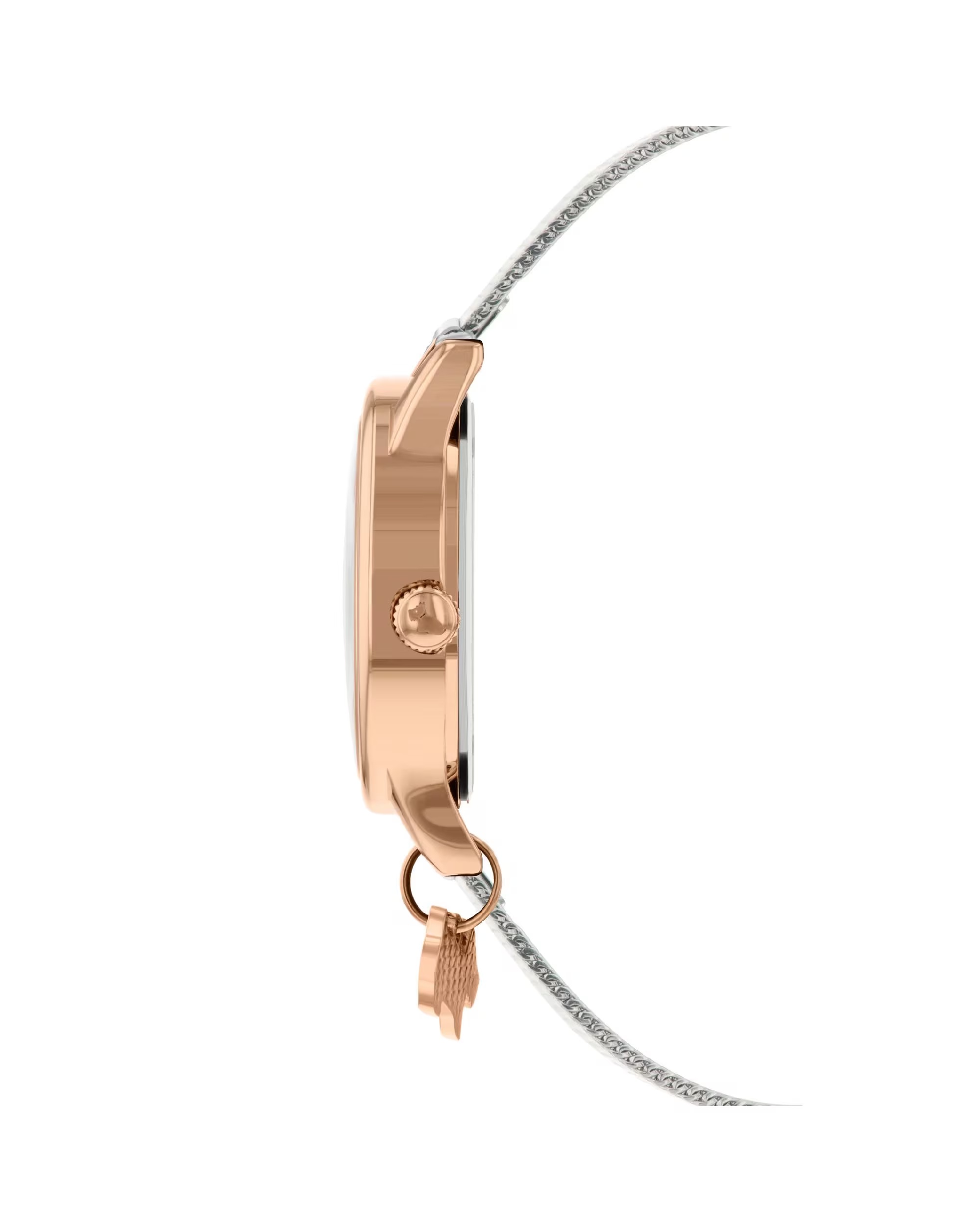 78056-radley-ladies-silver-stainless-steel-mesh-small-trailing-flower-watch-1.jpg