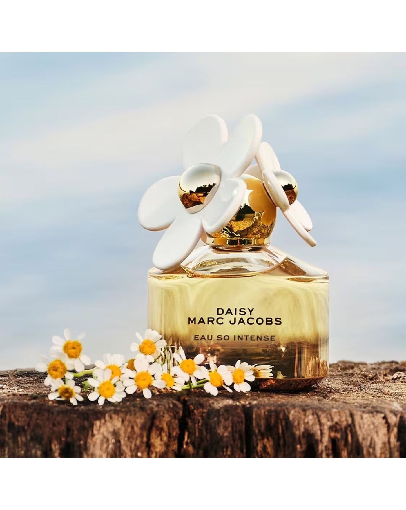 97463-marc-jacobs-daisy-eau-so-intense-edp-100ml-1.webp